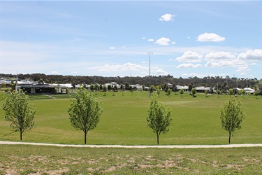 Rockley Oval - view of ground