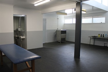 Seiffert Oval changeroom with massage table