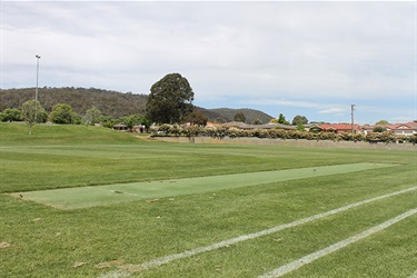 Wright park synthetic cricket pitch