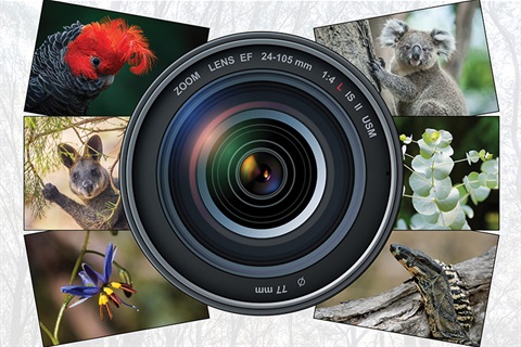 Camera lens on centre of page with native flora and fauna around including Gang Gang Cockatoo and Blue Gum leaves