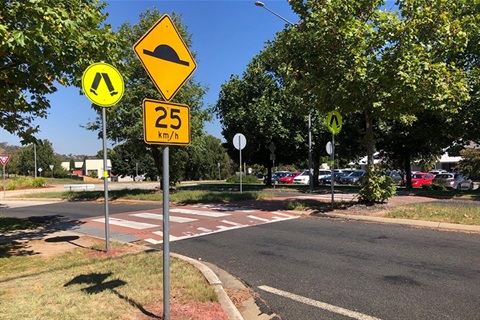 Wombat crossing